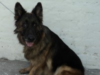 /album/fotos/de-todo-048-jpg/